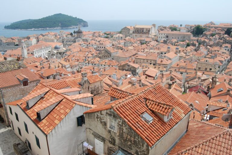 brown concrete house lot