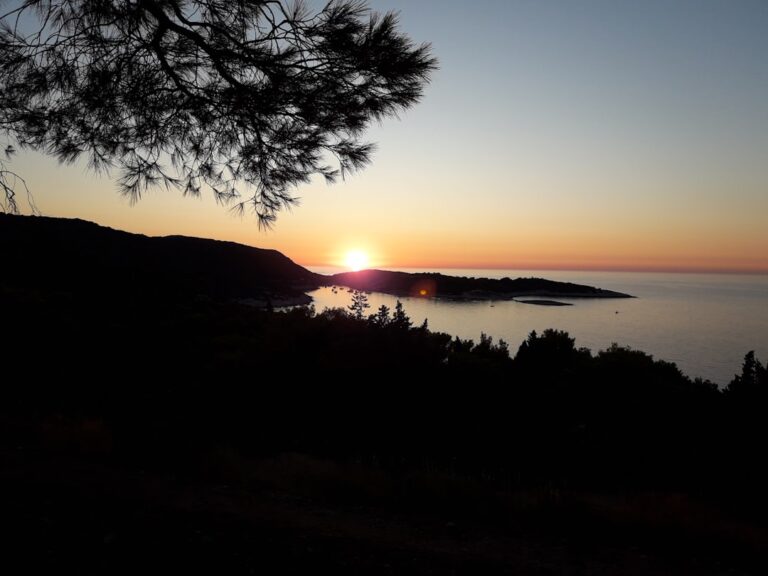 body of water and trees