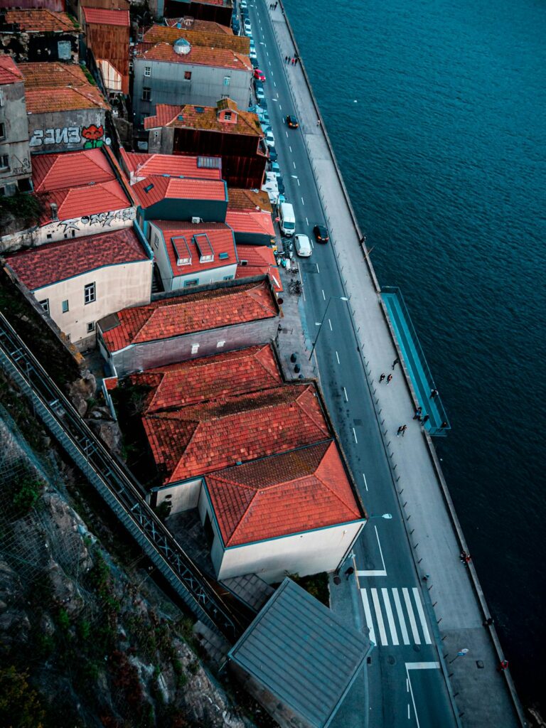 vehicles and people on roadway beside sea