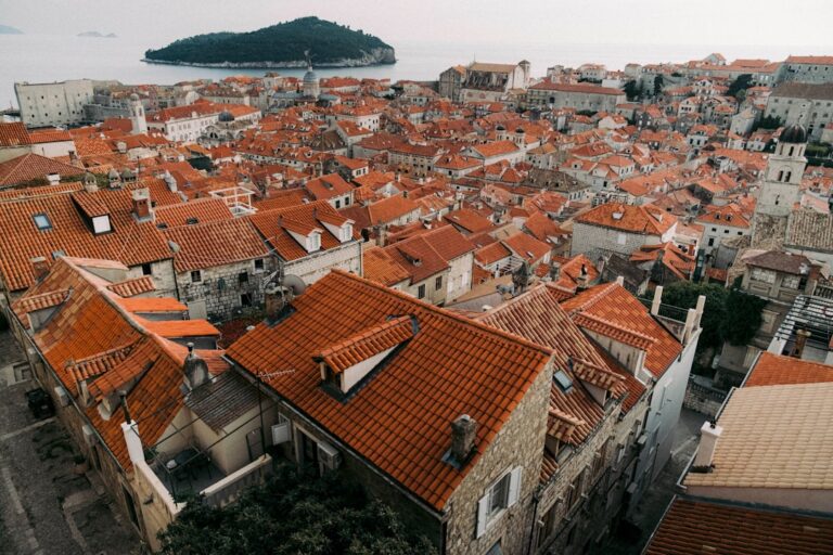 Wildlife Etiquette: Sustainable Encounters in Dubrovnik โ Travel Guide to Dubrovnik 124 a large group of buildings