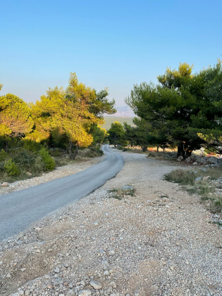 Local Transportation Tips for Getting Around Dubrovnik โ Travel Guide to Dubrovnik 18 a gravel road with trees on either side of it