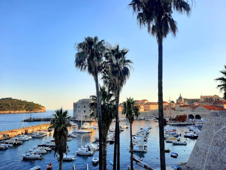 photo 1659043553894 e69a23b4b8e9