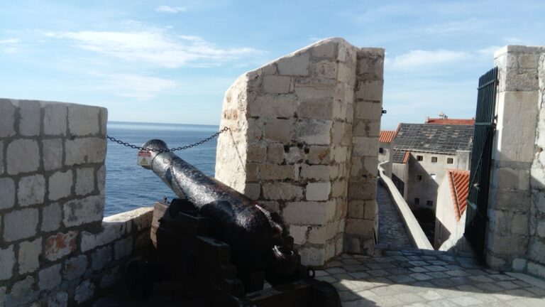 photo 1667736932625 f46aea06b1b2